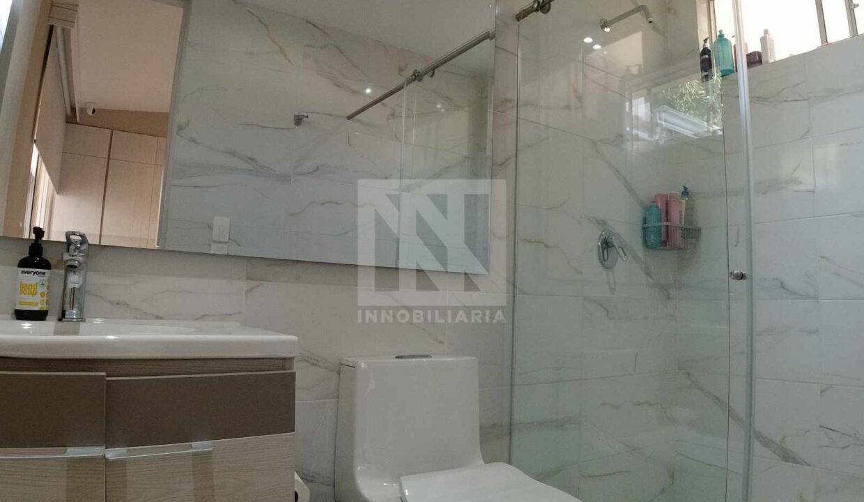 PLANTILLA NN WEB