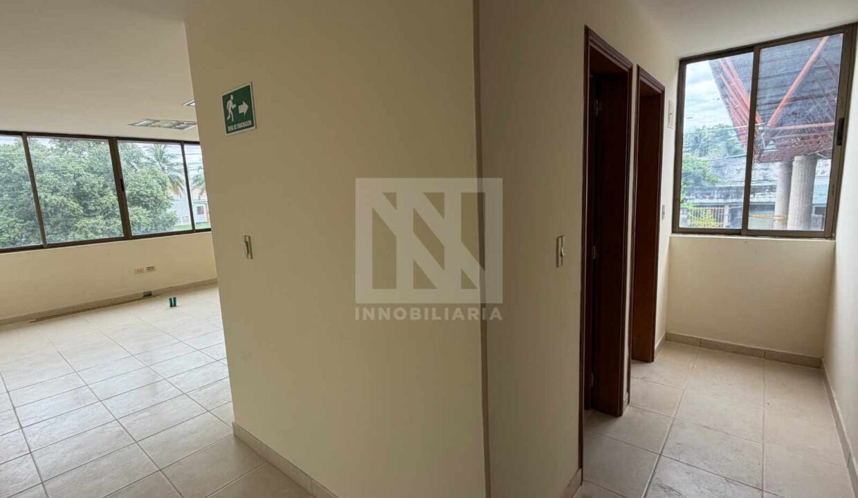 PLANTILLA NN WEB
