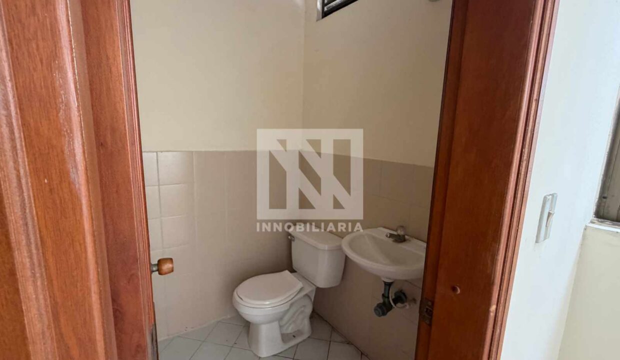 PLANTILLA NN WEB