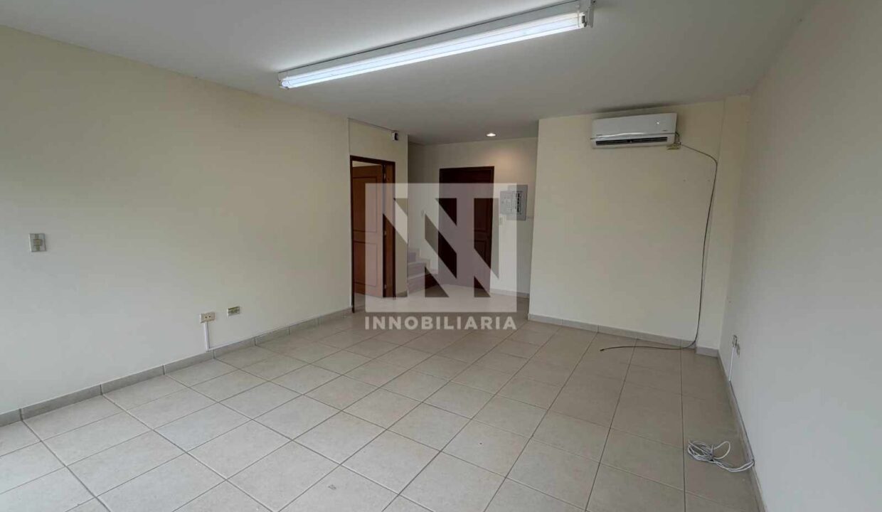 PLANTILLA NN WEB