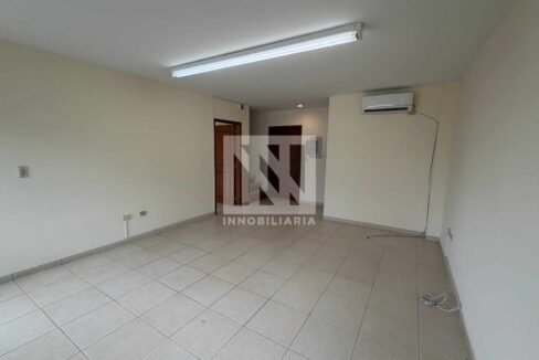 PLANTILLA NN WEB