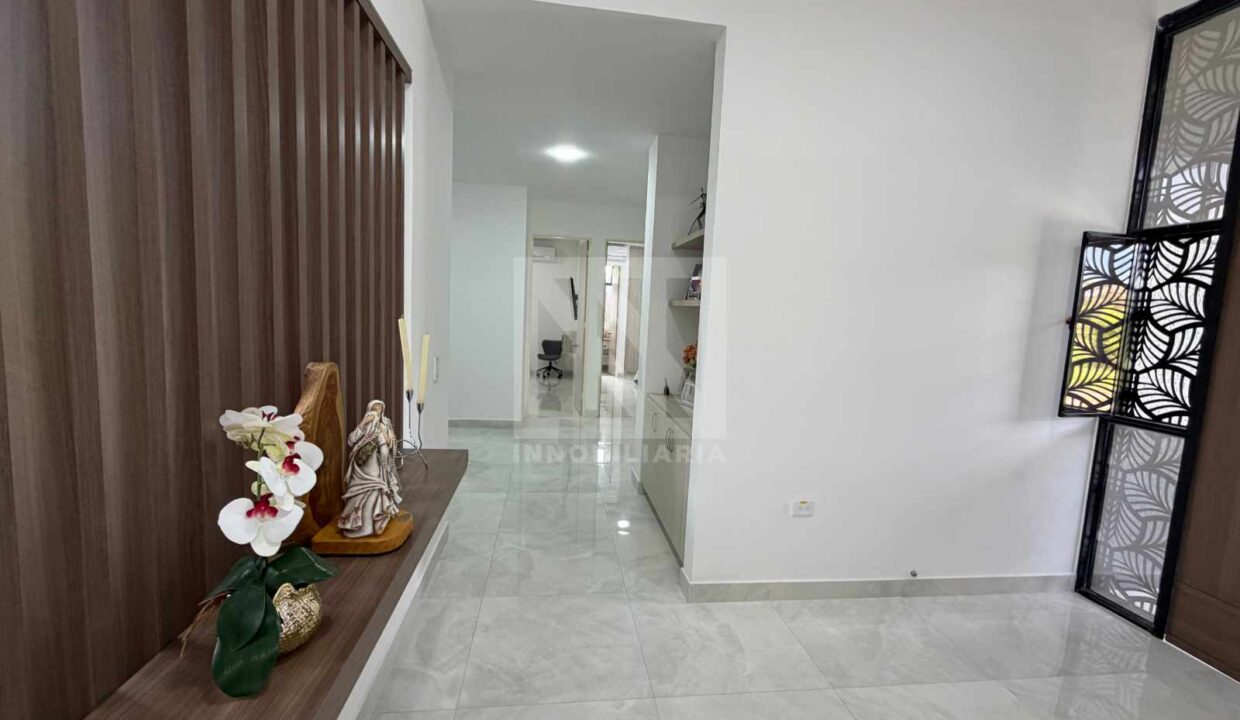 PLANTILLA NN WEB