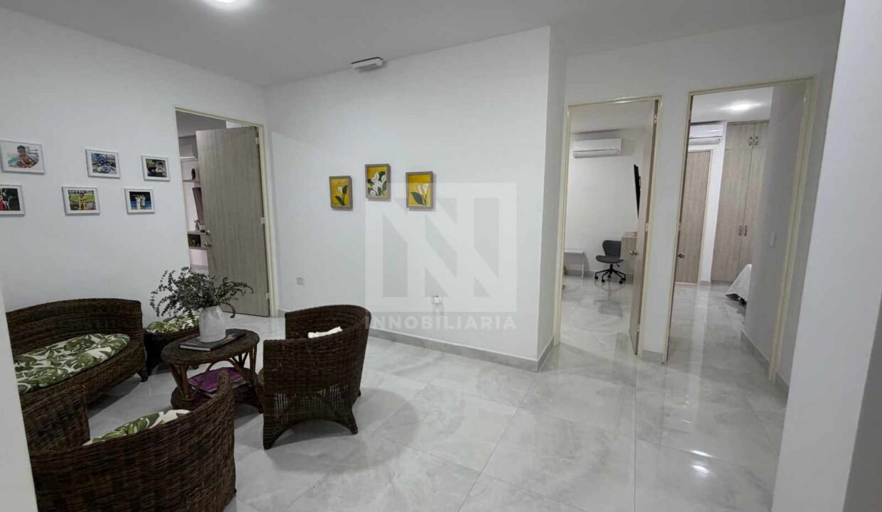 PLANTILLA NN WEB