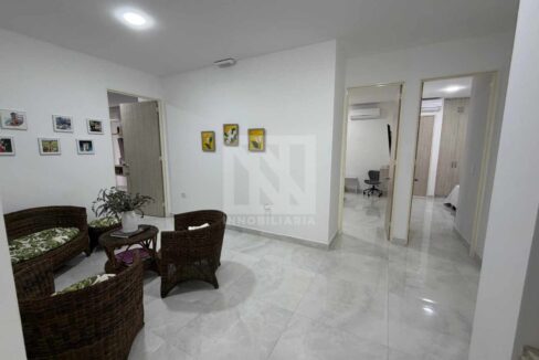 PLANTILLA NN WEB