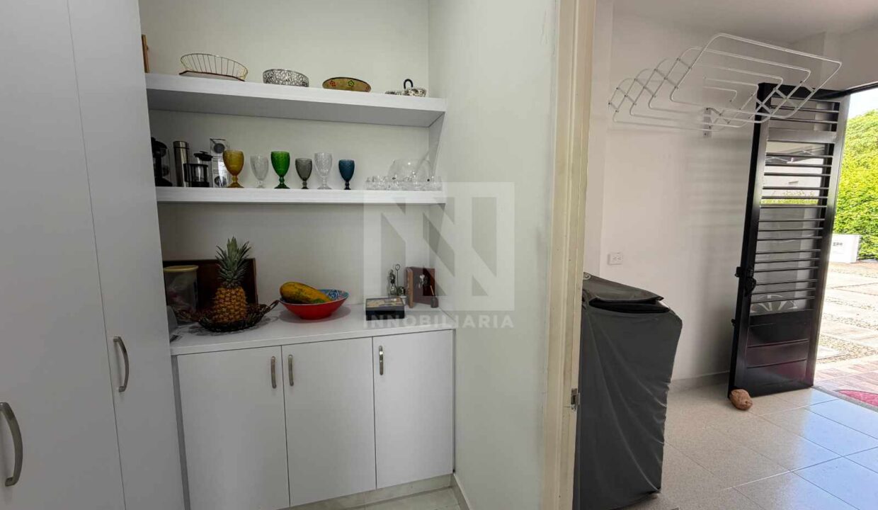 PLANTILLA NN WEB